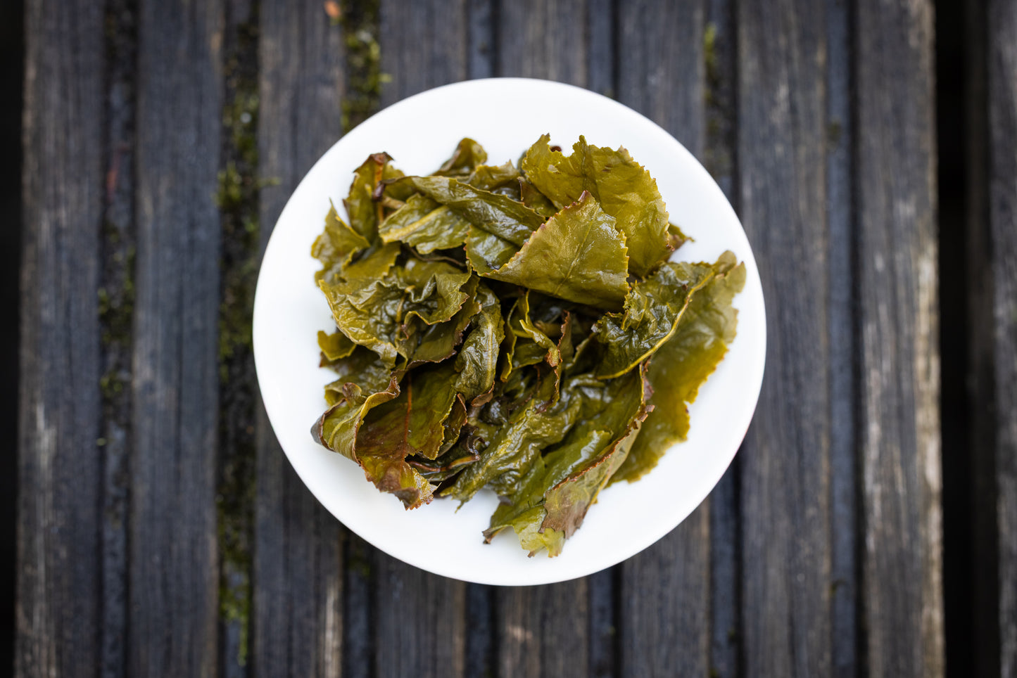 Four Seasons Oolong Tee